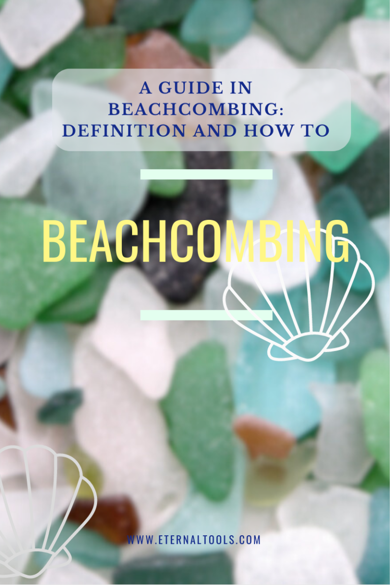 A Guide in Beachcombing: A Journey of Discovery Along the Shore