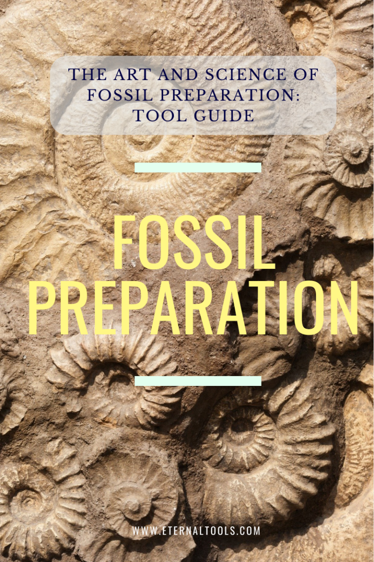 The Art and Science of Fossil Preparation: Tools Guide