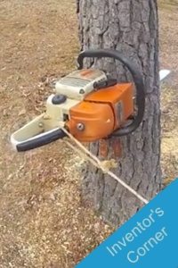 cut down a tree