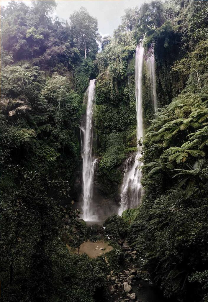 Ökosystem Regenwald im Dschungel mit tropischen Pflanzen und Wasserfall