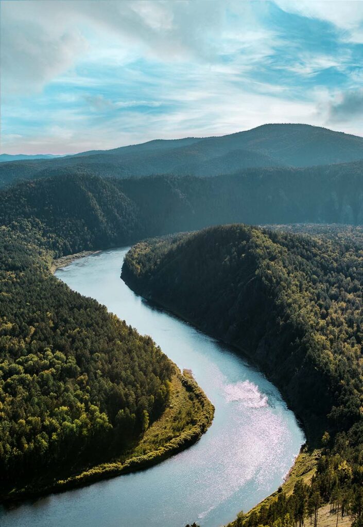 Ökosystem Fluss von oben mit Blick auf Wald durch den sich ein Fluss schlängelt