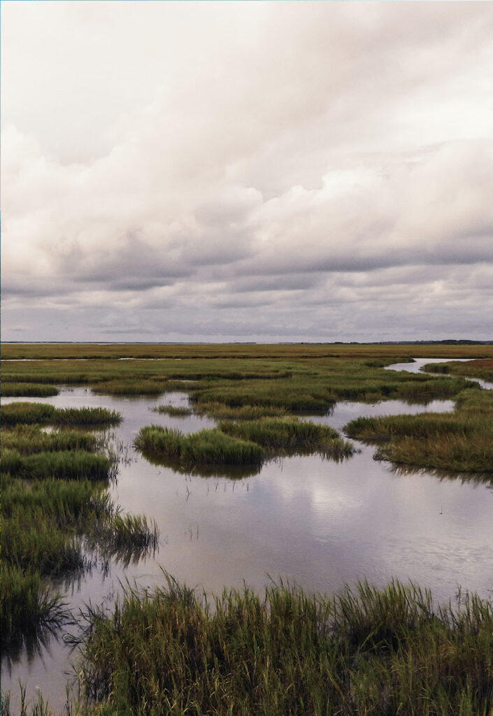 Ökosystem Moor mit grüner Wiese und vielen Teichen dazwischen vor wolkigem Horizont