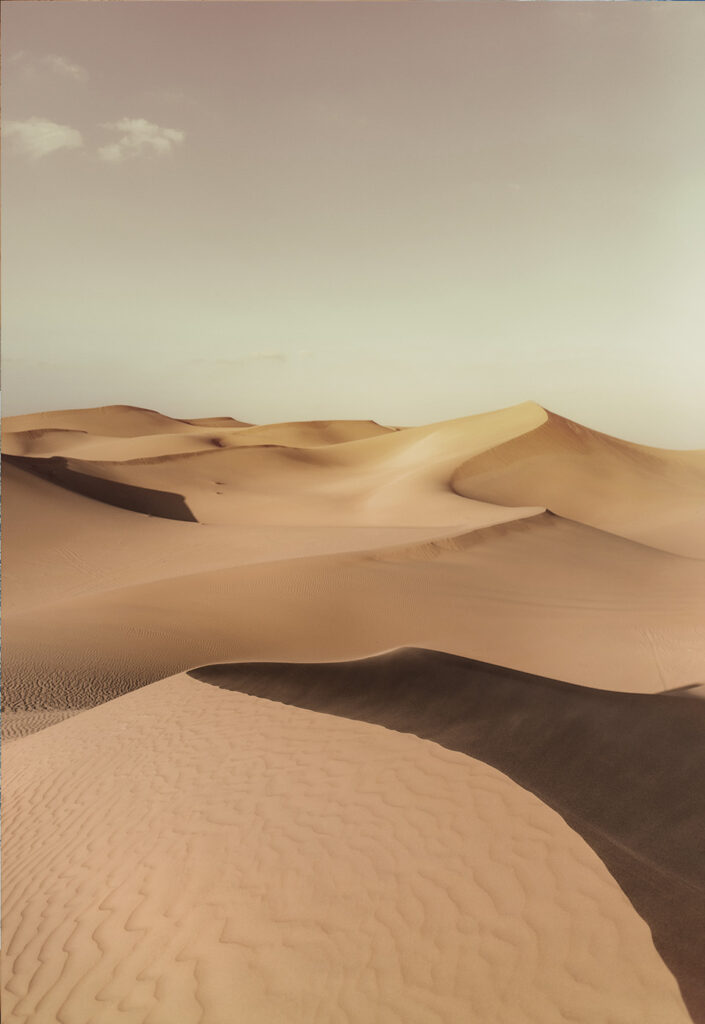 Ökosystem Wüste mit Sanddünen vor grauem Horizont