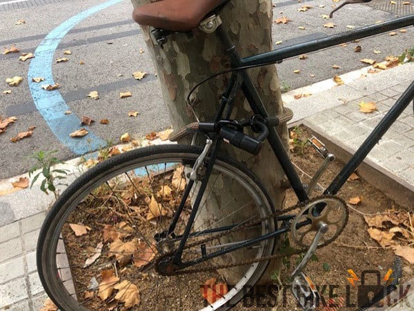 tex–lock eyelet im Test von thebestbikelock.com sichert Fahrrad am Baum