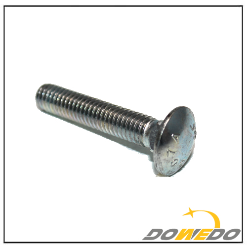 Carriage Bolt with Round Head